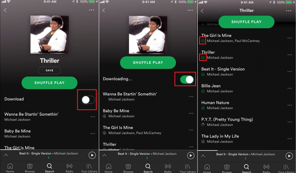 Download From Spotify Offline